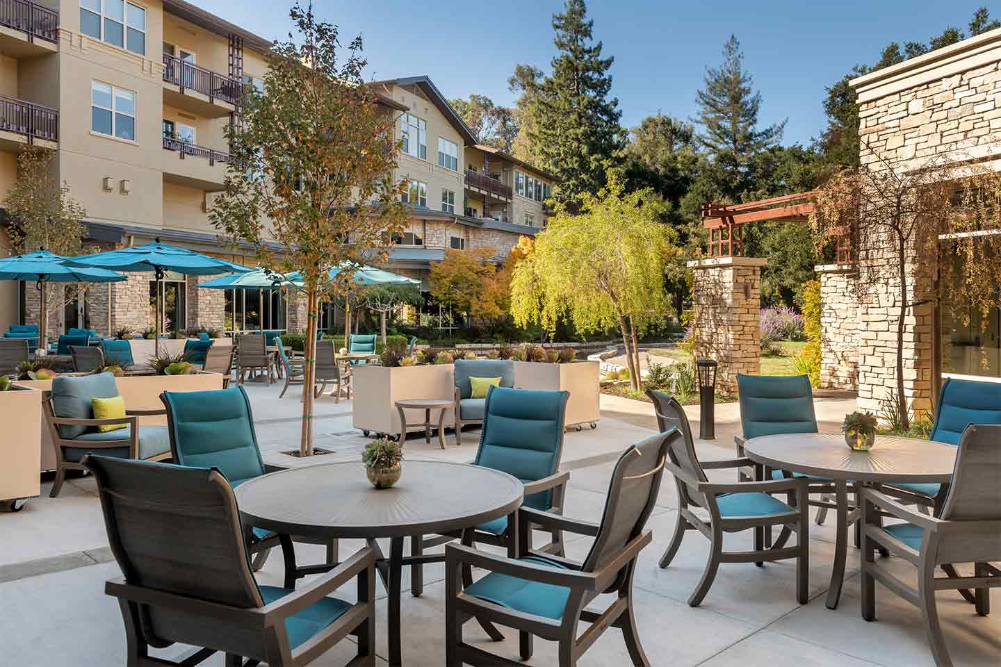 Vi at Palo Alto patio. 