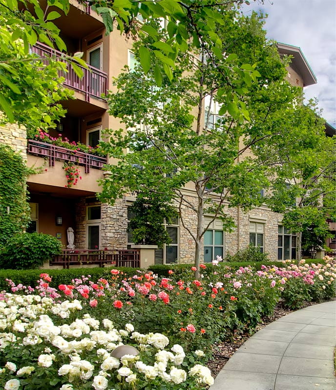 OneBedroom Homes Vi at Palo Alto