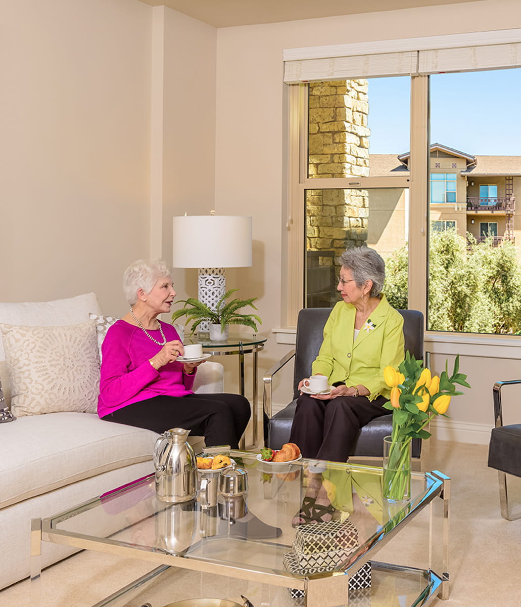 Women sitting in living room talking. 