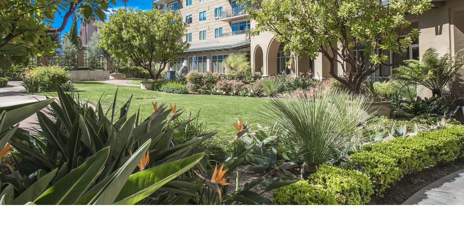 Lush greenery in front of Vi at La Jolla Village