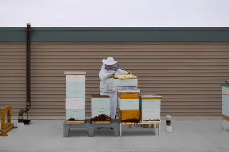 Apiary at Vi at Highlands Ranch. 