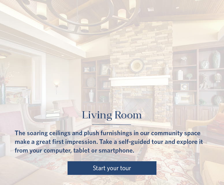 Living Room - Vi at Highlands Ranch