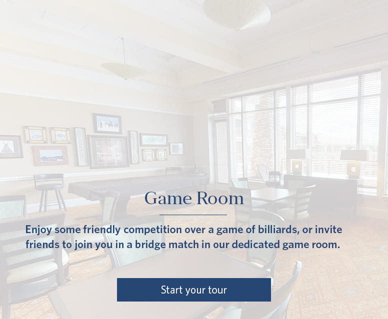 Game Room - Vi at Highlands Ranch
