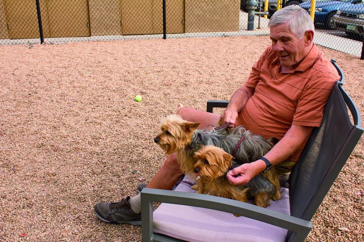 A man sits with his dogs at the Vi at Highlands Ranch dog park.