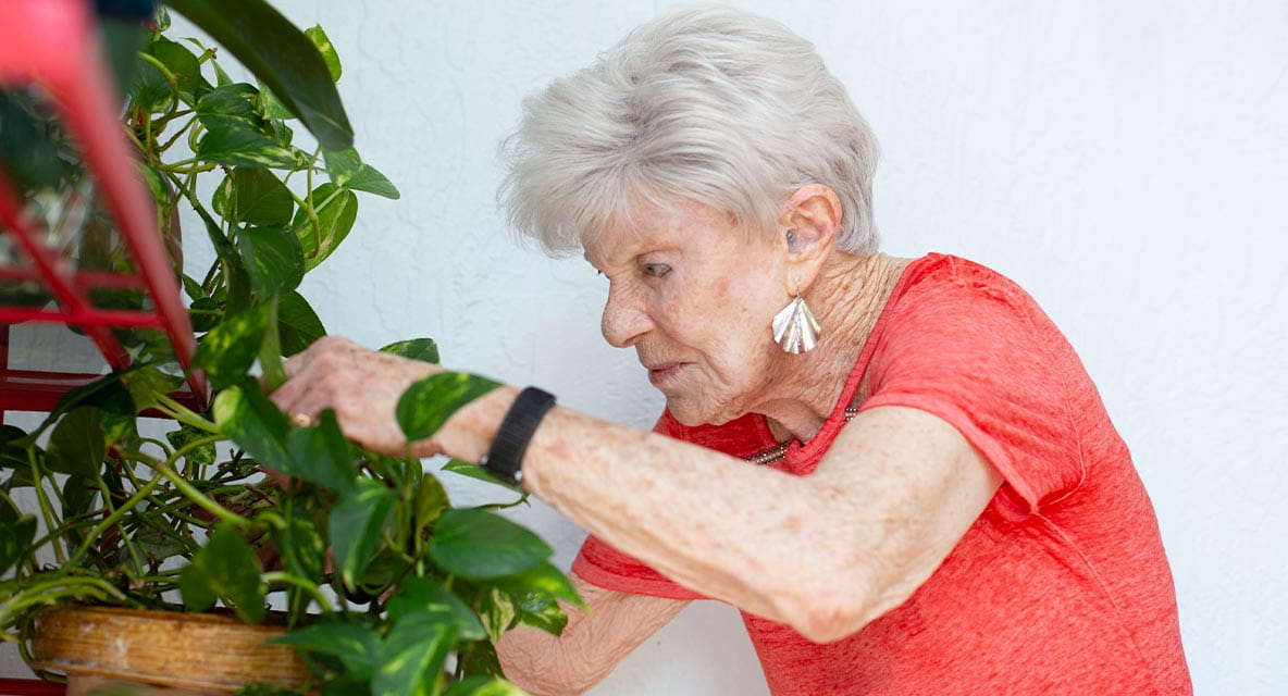 A women looking at a potted plant. 
