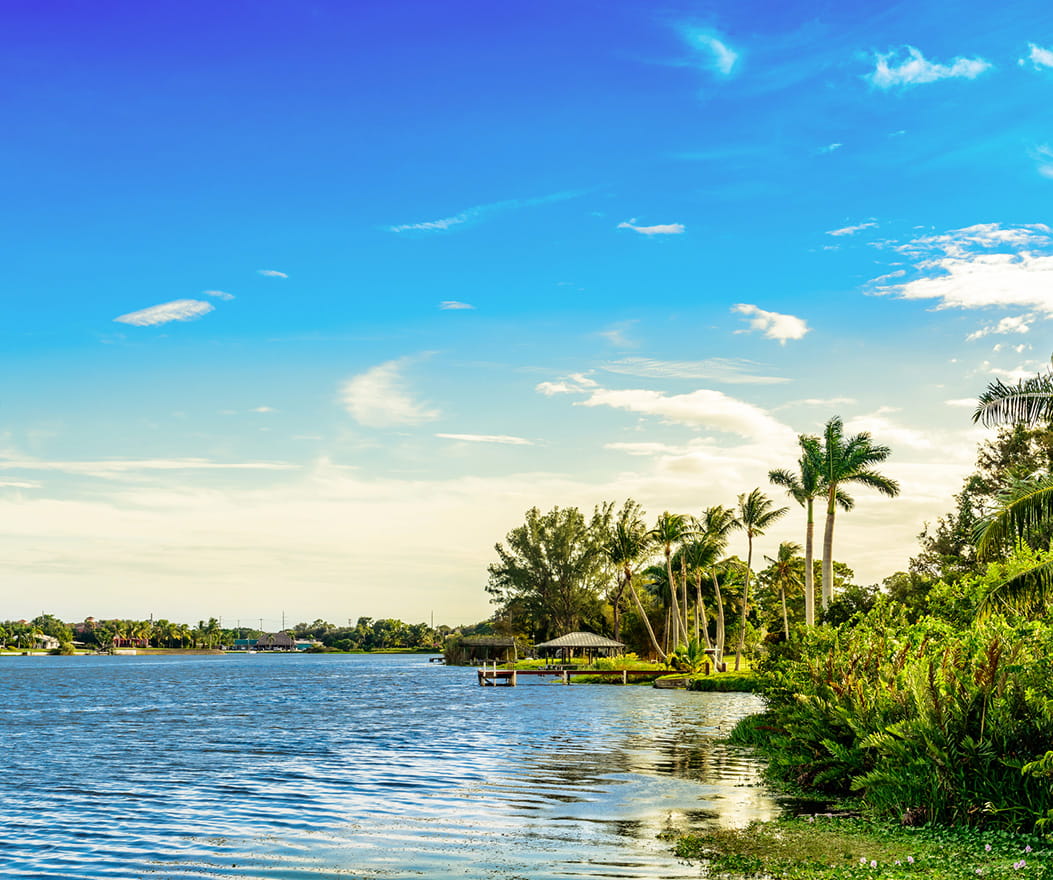 Services, dining and amenities Vi at Lakeside Village