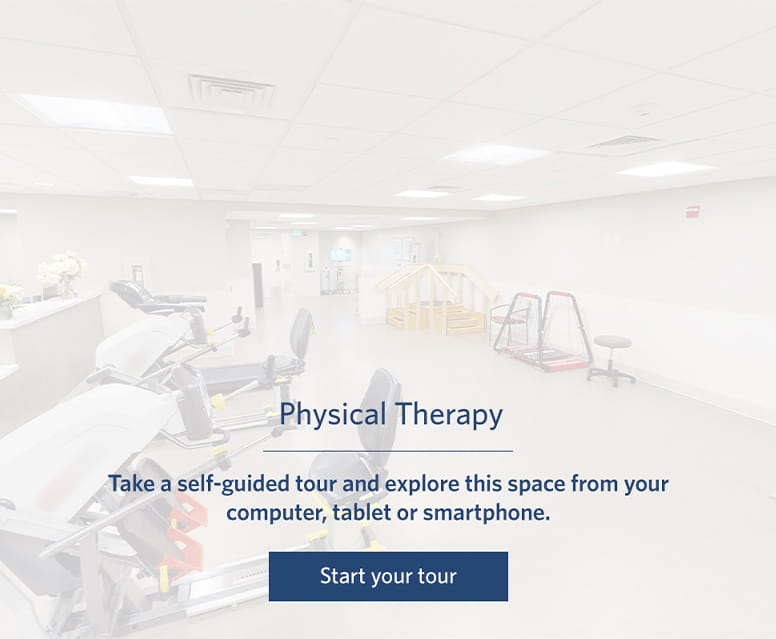 Physical Therapy - Vi at Lakeside Village Care Center