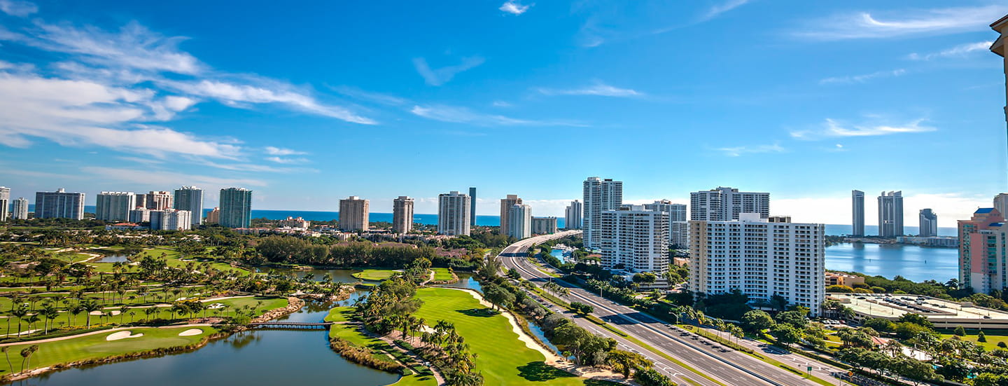 Vi at Aventura aerial shot
