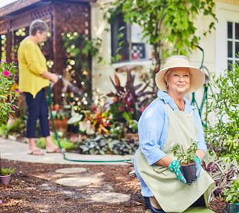 Volunteers with the Vi at Bentley Village Plant House