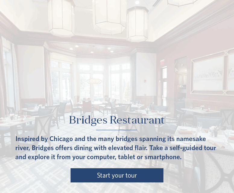 Bridges Virtual Tour