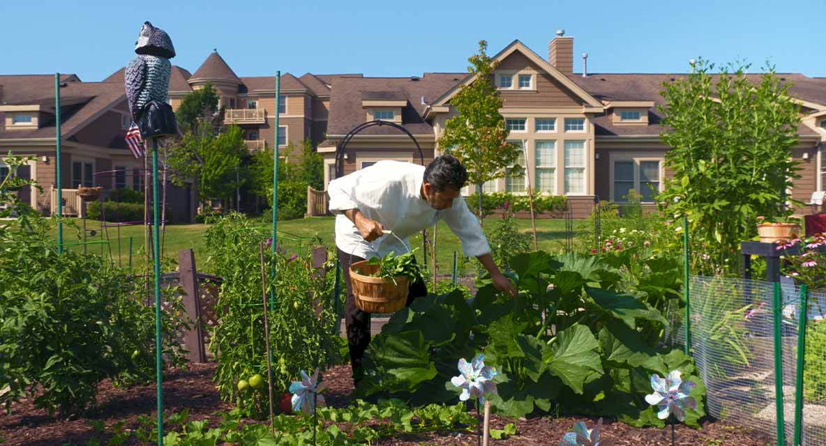 Vi at The Glen garden. 