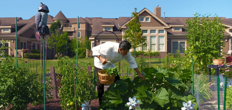 Chef Jose Luna pulls produce from Vi at The Glen's community garden.