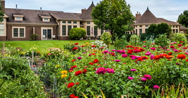 The garden at Vi at The Glen