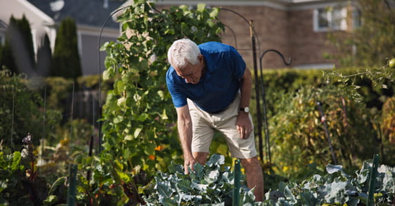 Jim Good tends to his garden plot at Vi at The Glen.