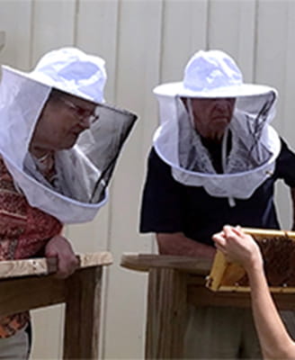 Residents looking at bees. 