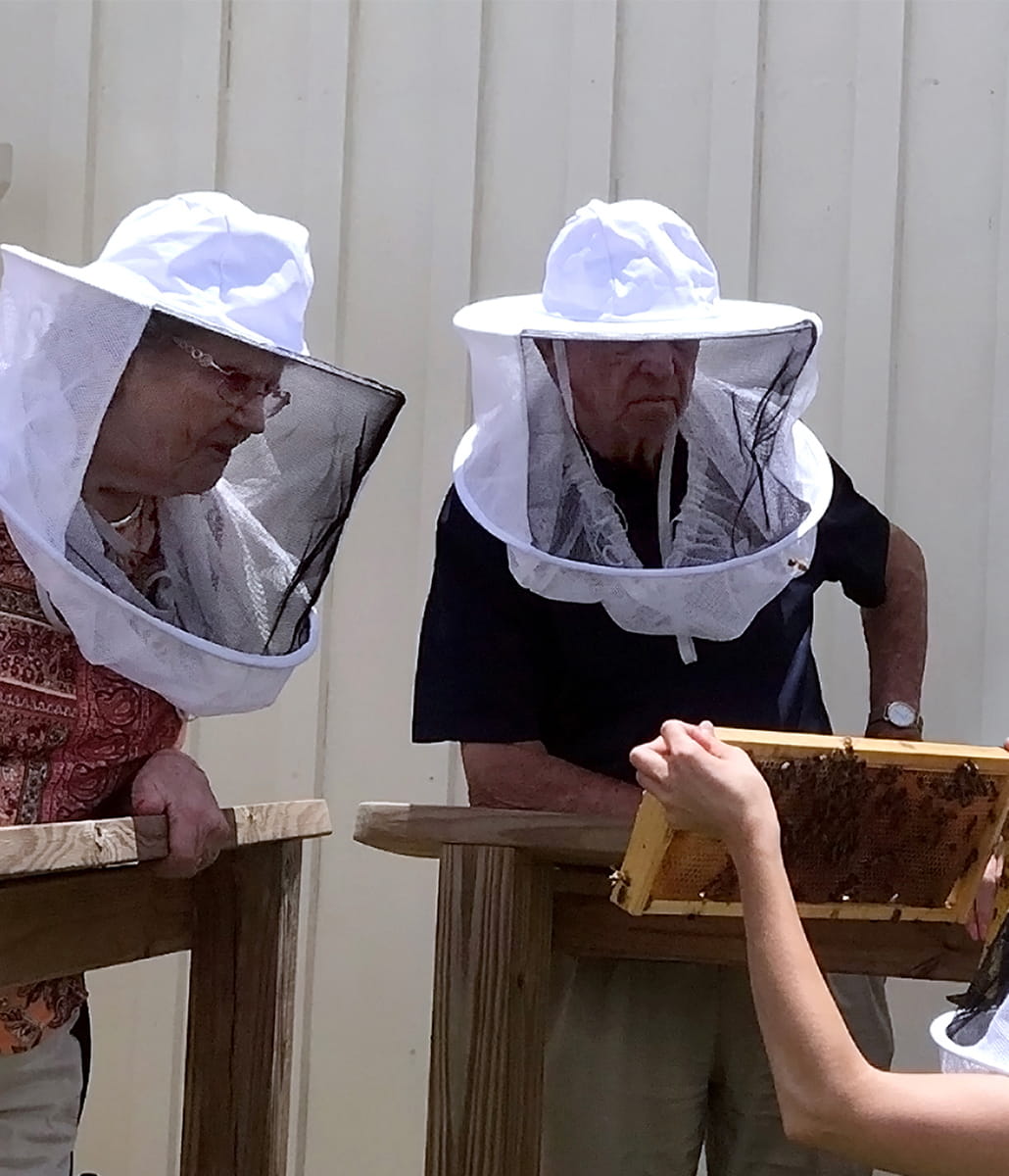 TidePointe residents look at a bee hive