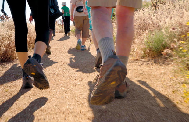 A group of hikers on the trail