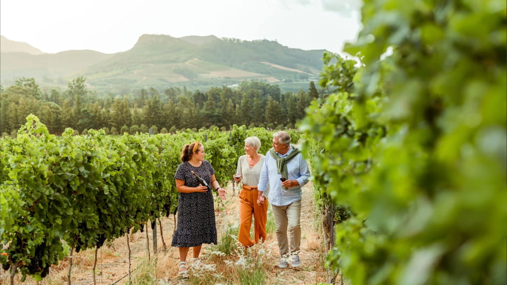 A man and woman walk through a vineyard with a wine expert.
