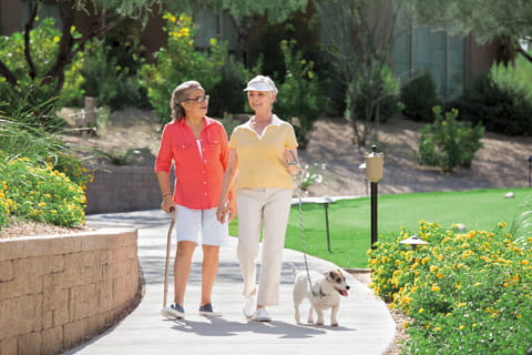 Two women and a dog taking a walk