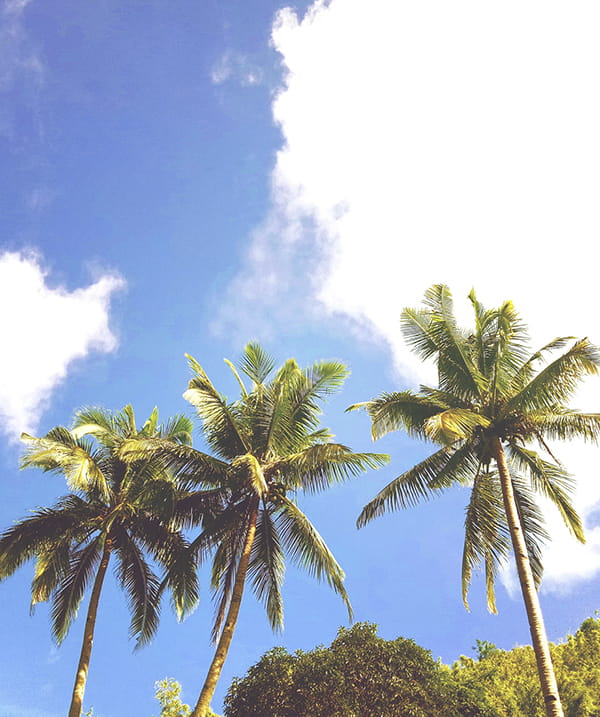 Explore Vi at Lakeside Village Vi